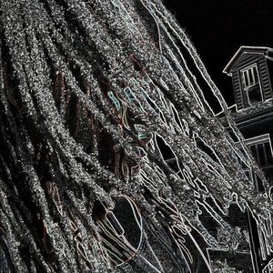 Meet your Posher, Demetrius